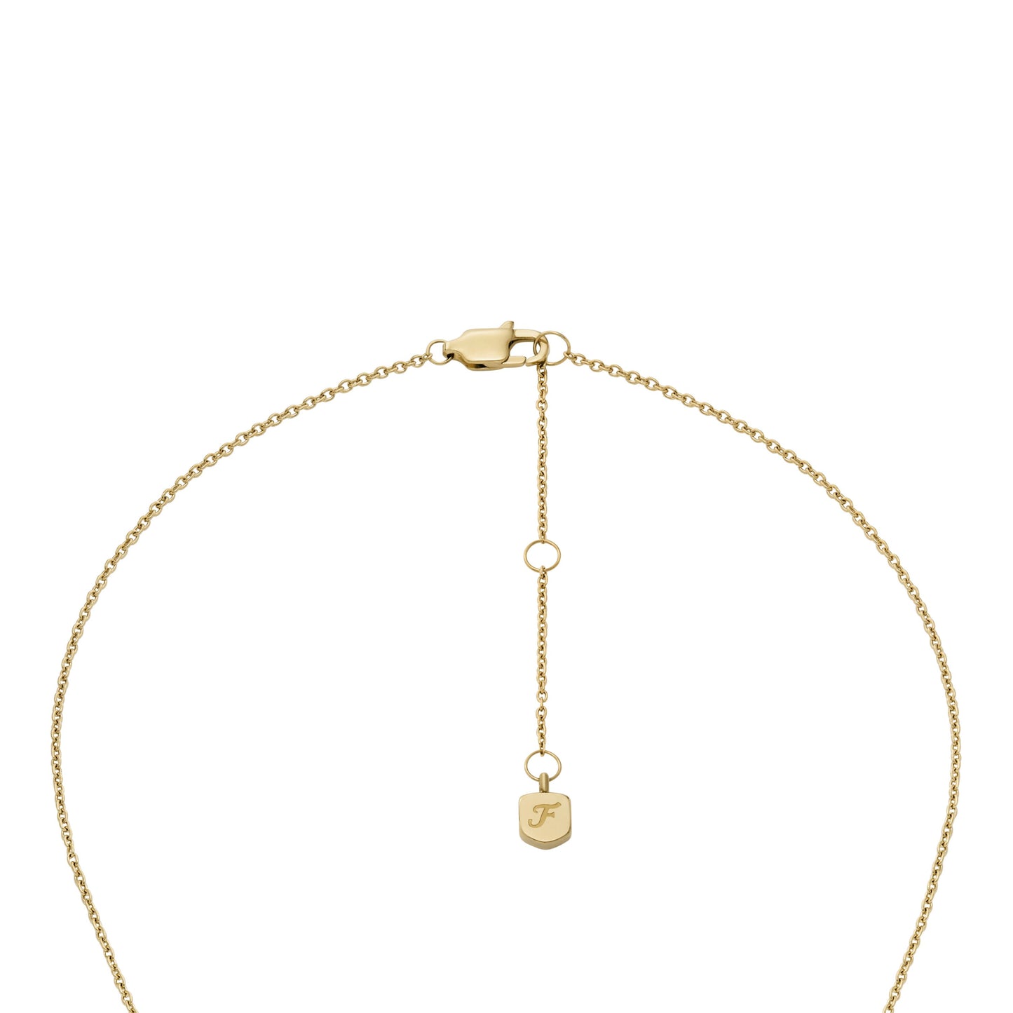 Fossil Kette u. Ohrringe Set JF04881SET