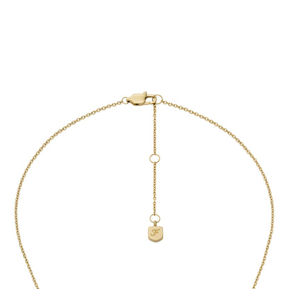 Fossil Kette u. Ohrringe Set JF04881SET